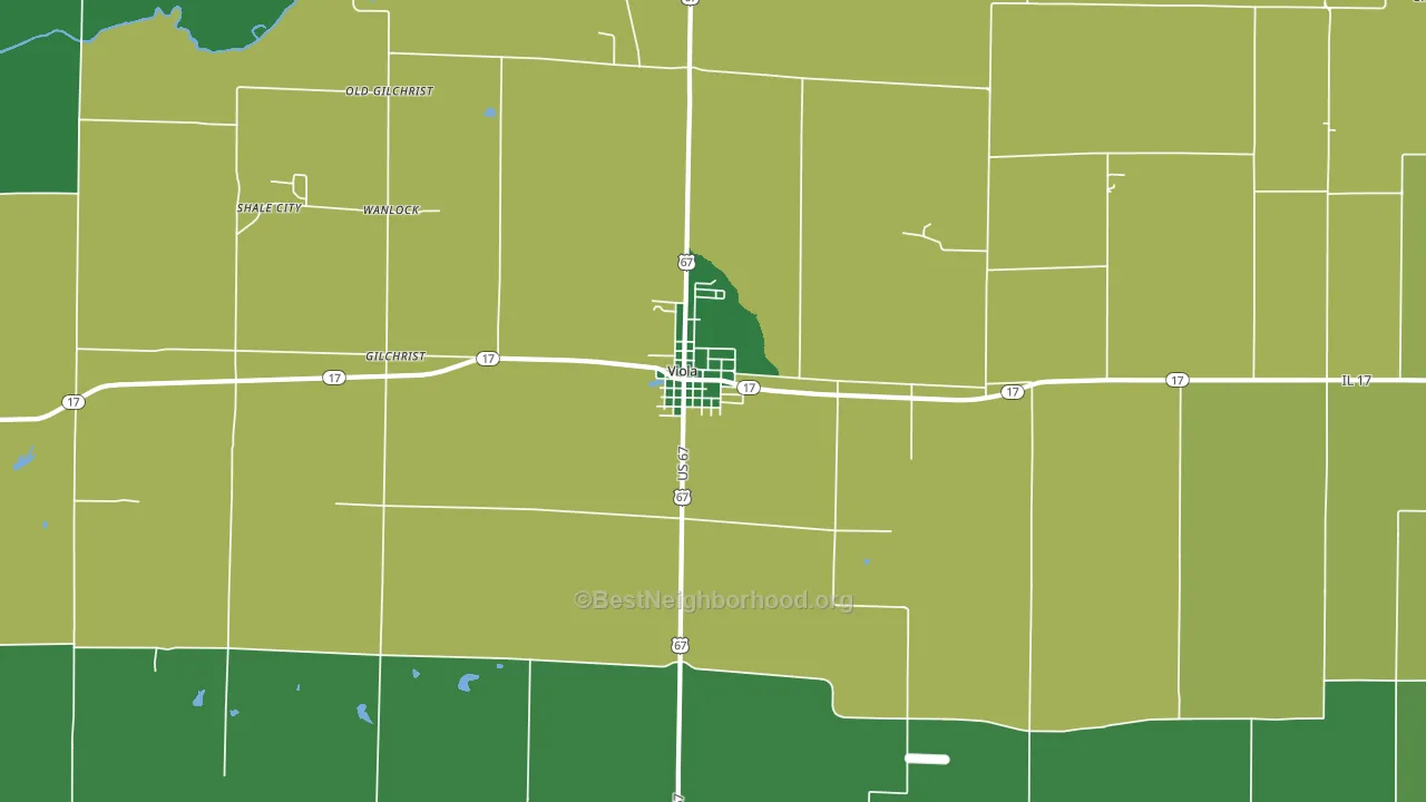 Viola, IL block-group voter-turnout map