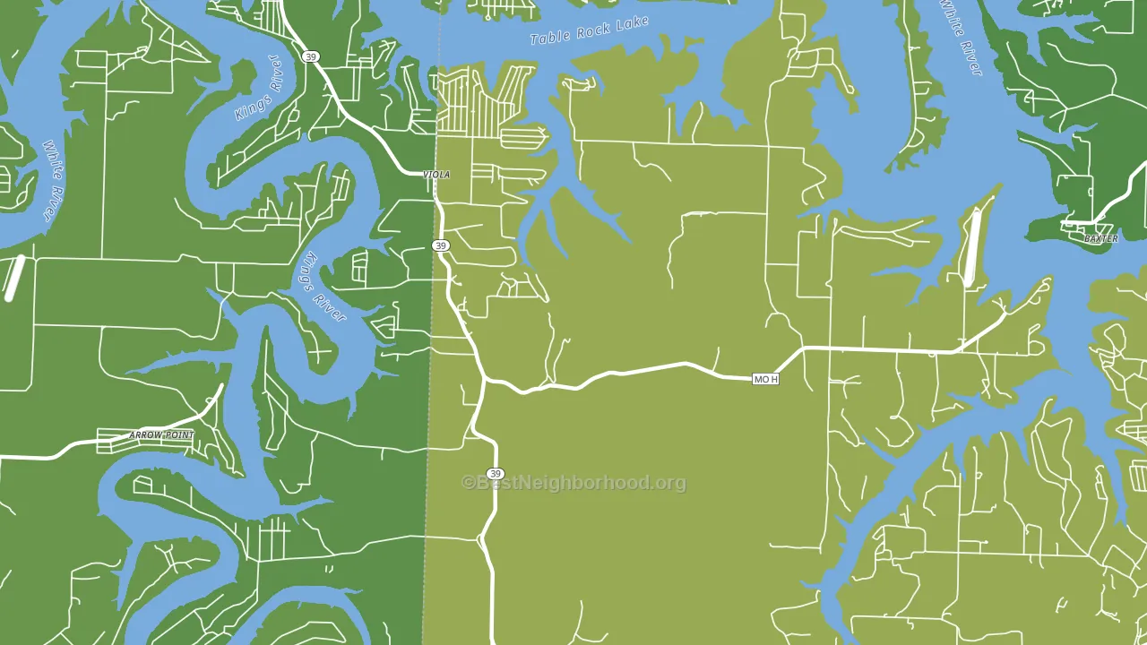 Viola, MO block-group voter-turnout map
