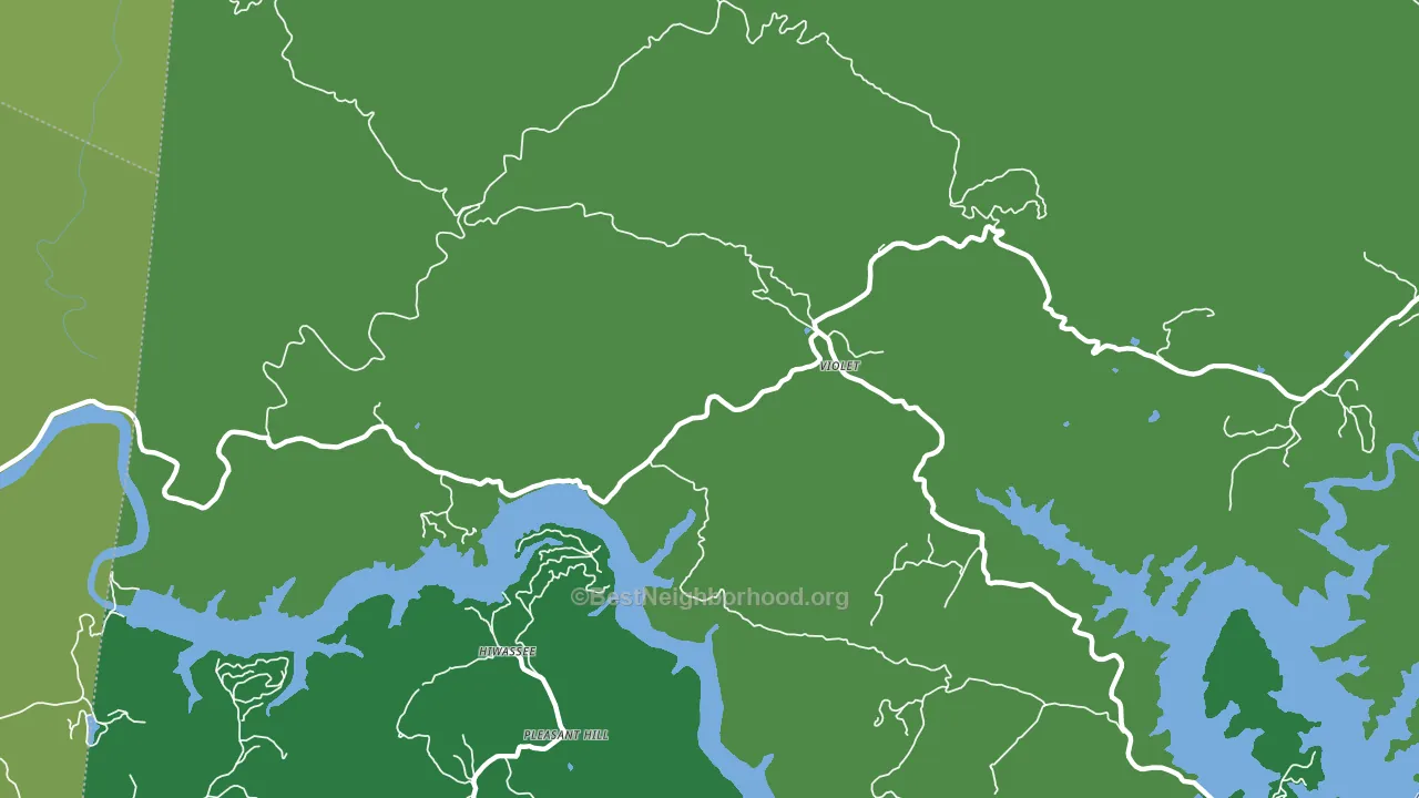 Violet, NC block-group voter-turnout map