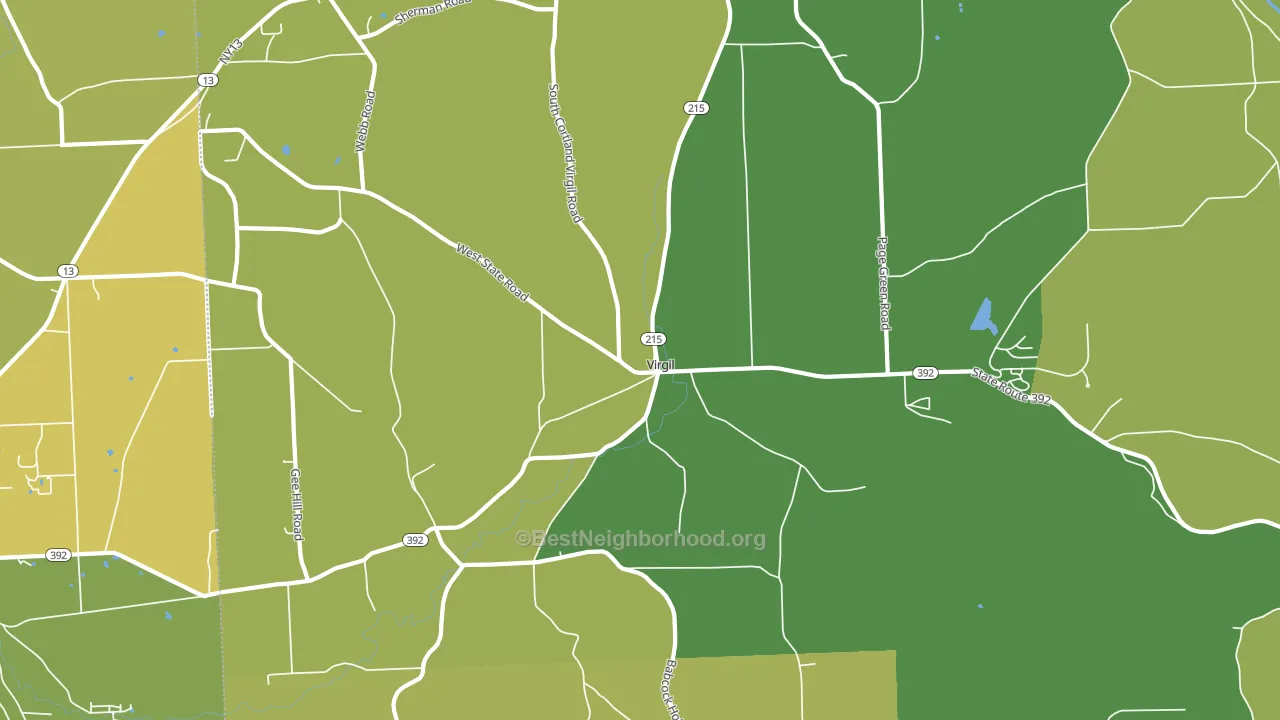 Virgil, NY block-group voter-turnout map