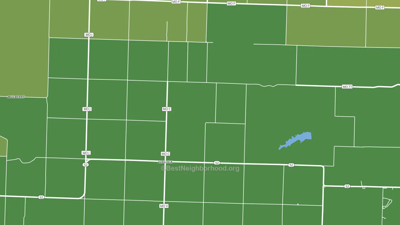 Virginia, MO block-group voter-turnout map