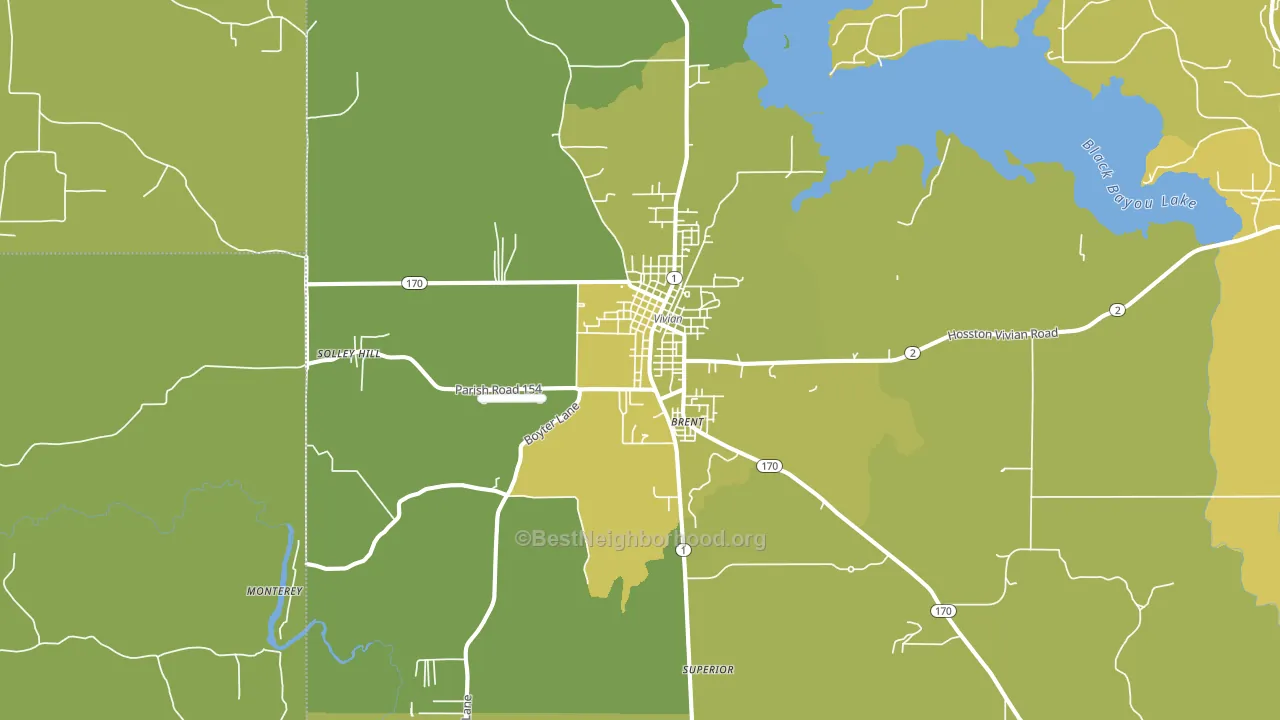 Vivian, LA block-group voter-turnout map