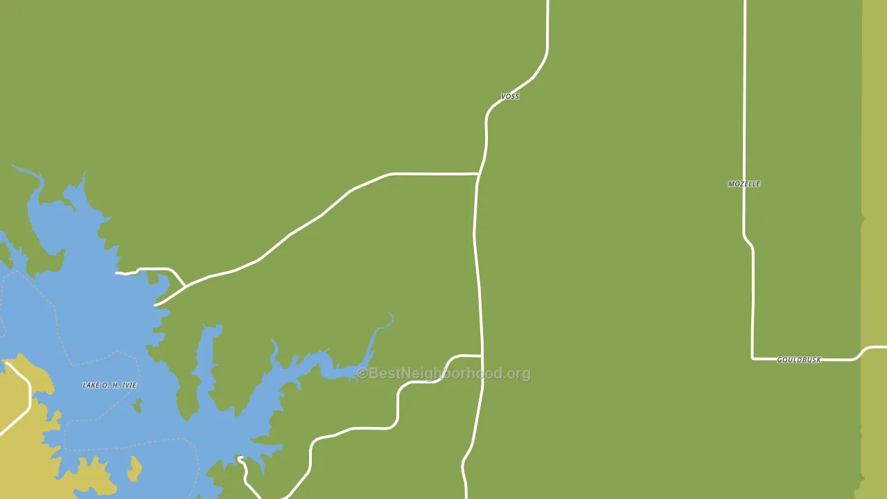 Voss, TX block-group voter-turnout map