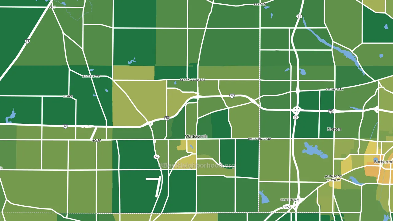 Wadsworth, OH block-group voter-turnout map