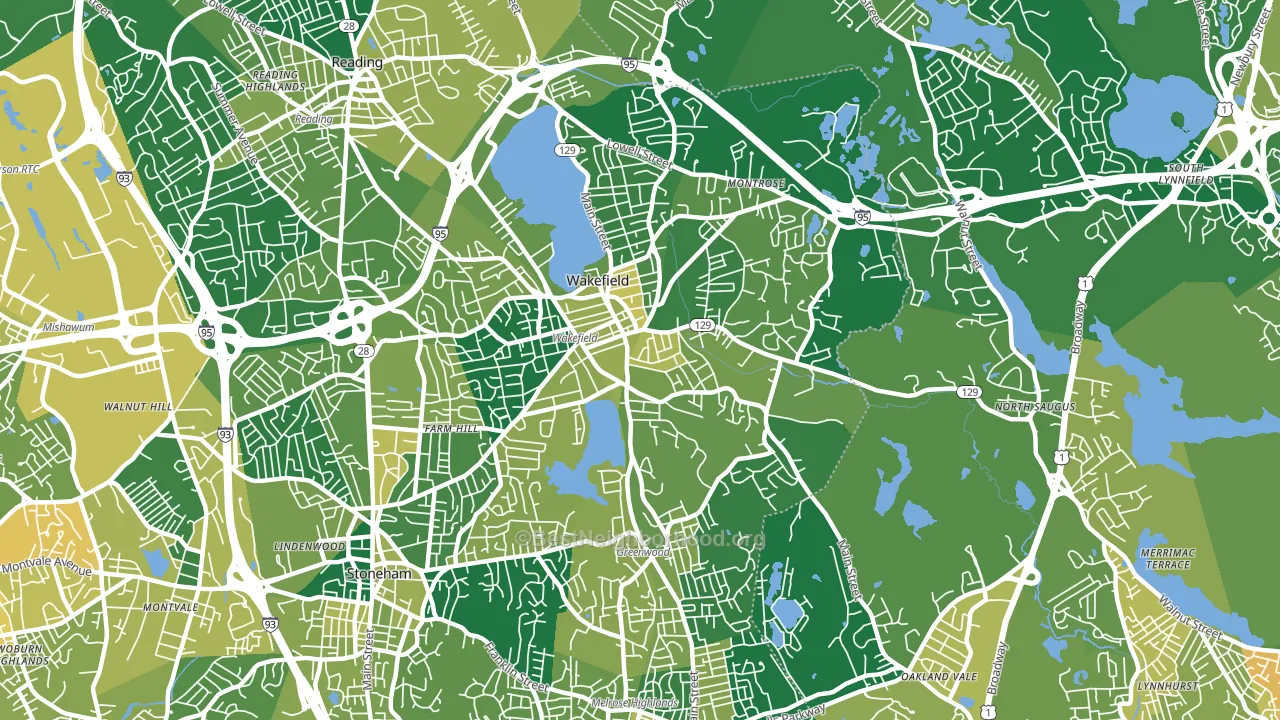 Wakefield, MA block-group voter-turnout map