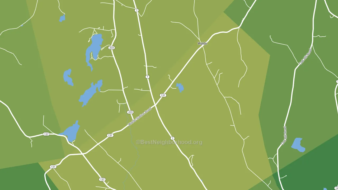 Waldo, ME block-group voter-turnout map