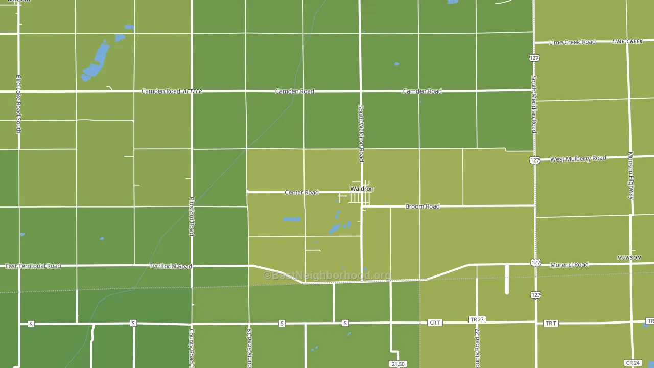 Waldron, MI block-group voter-turnout map