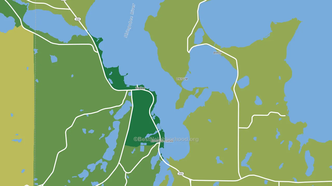 Walker, MN block-group voter-turnout map