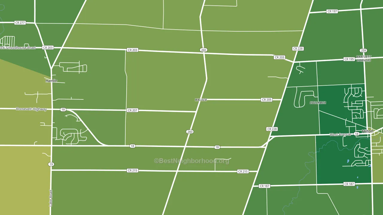 Walker, NY block-group voter-turnout map