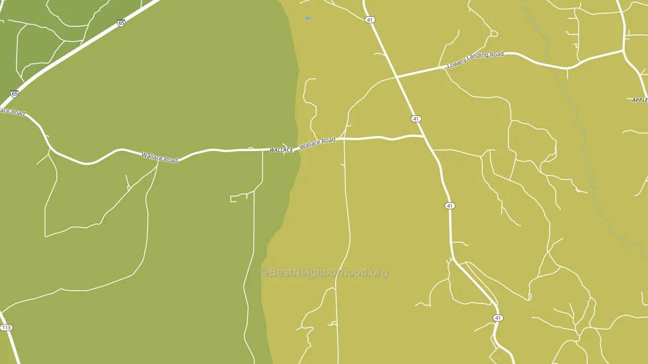 Wallace, AL block-group voter-turnout map
