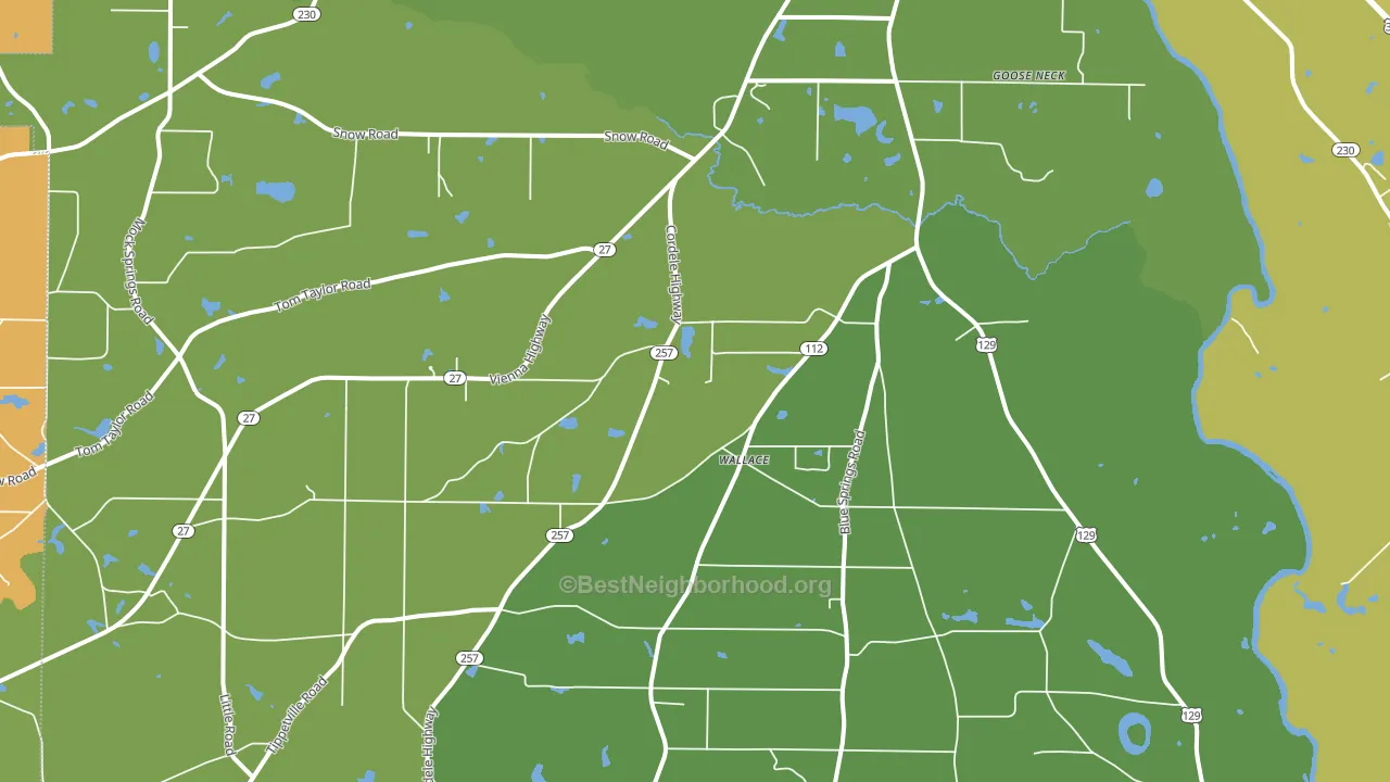 Wallace, GA block-group voter-turnout map