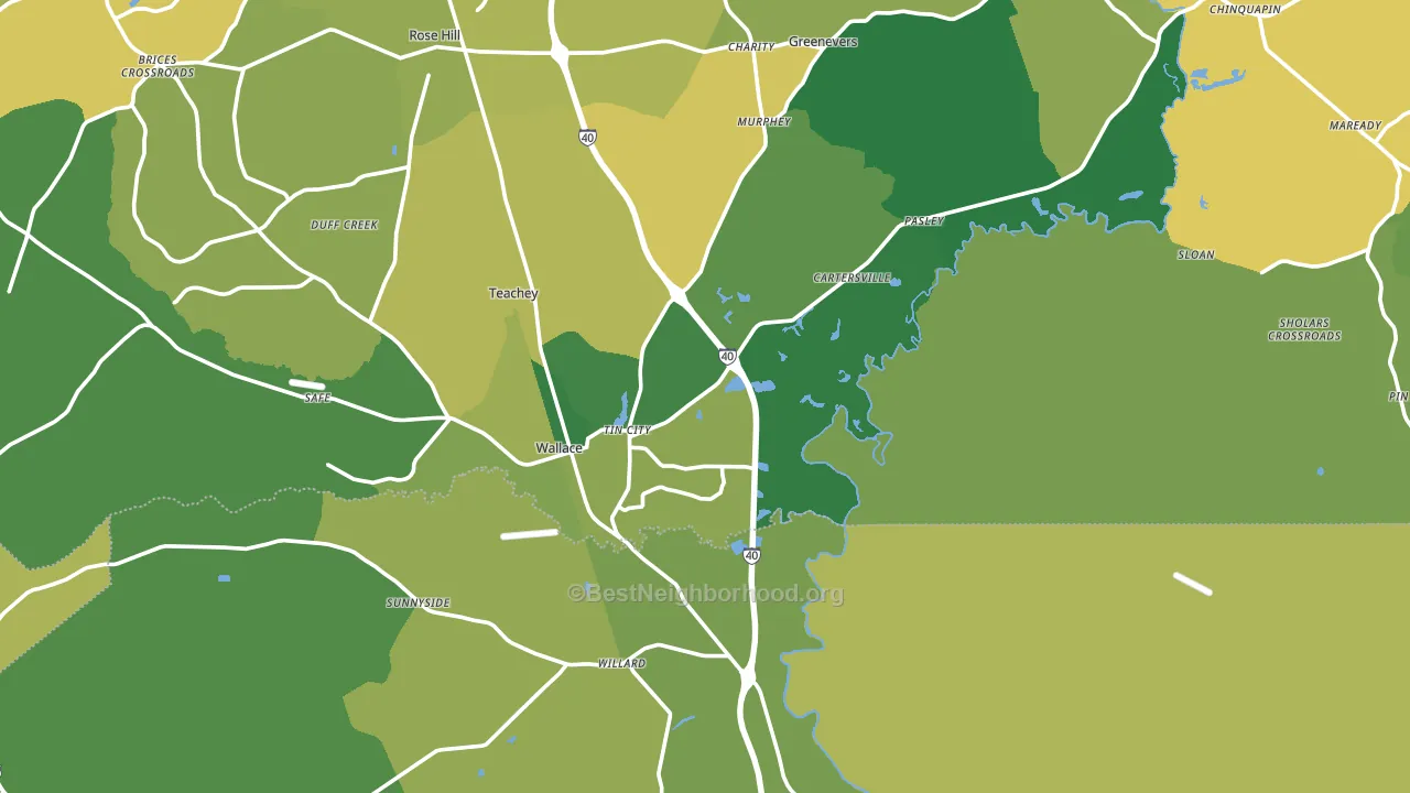 Wallace, NC block-group voter-turnout map