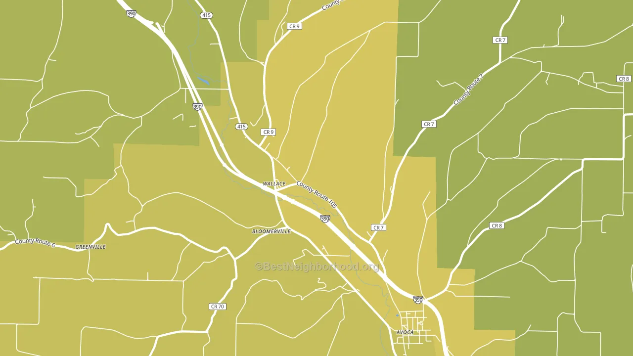 Wallace, NY block-group voter-turnout map