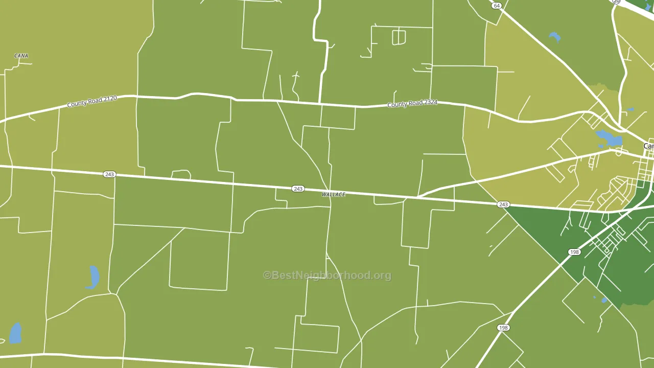 Wallace, TX block-group voter-turnout map