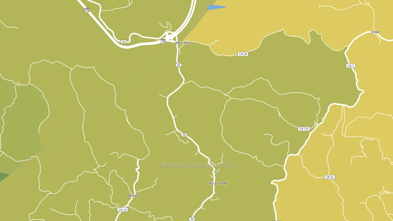 Wallback, WV block-group voter-turnout map