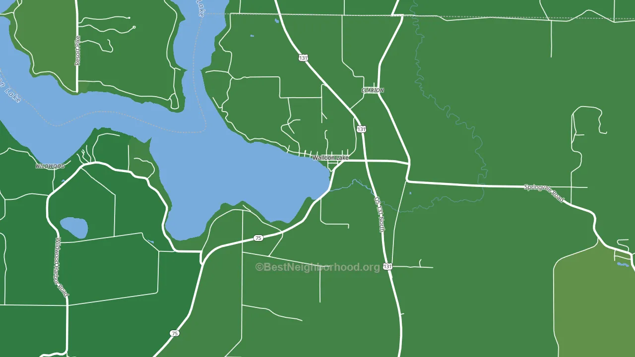 Walloon Lake, MI block-group voter-turnout map