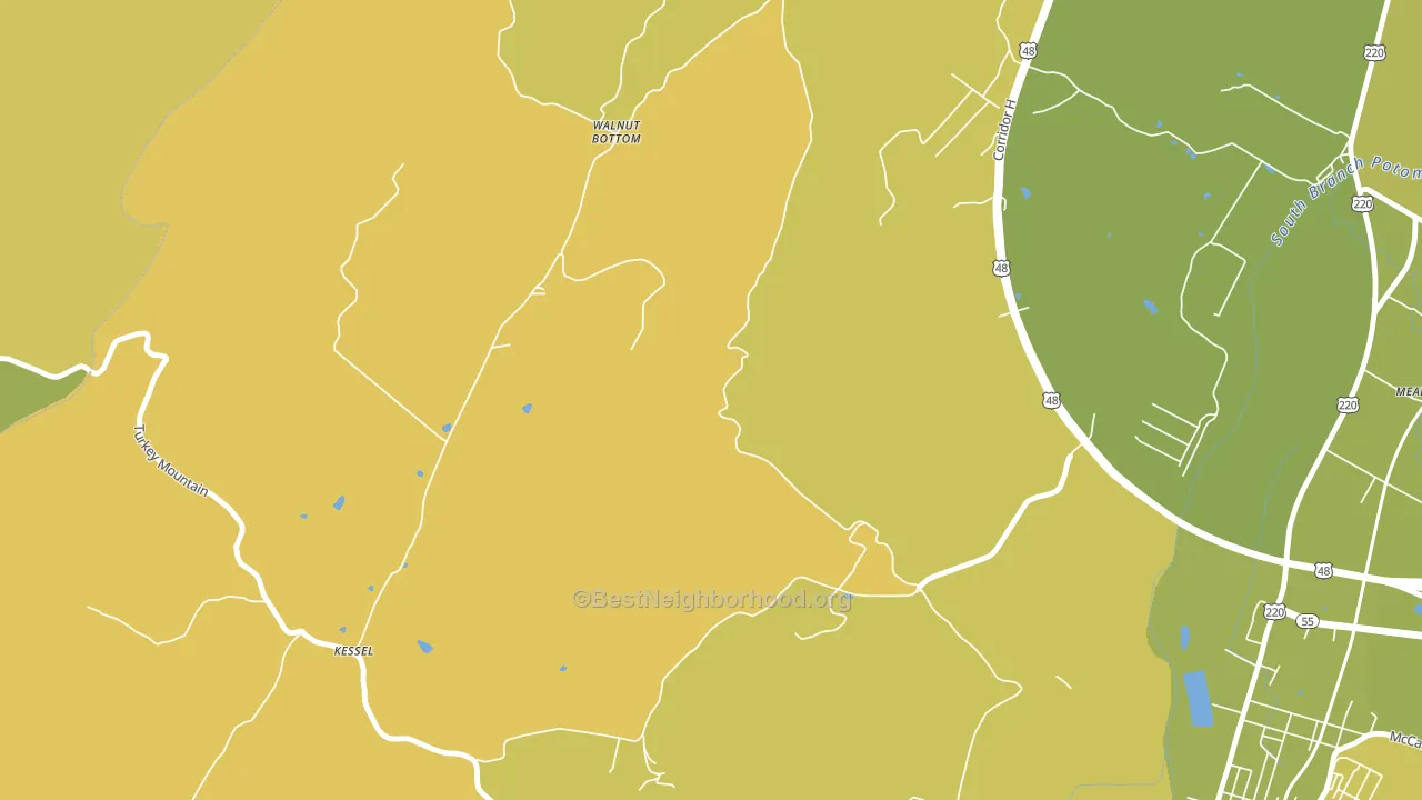 Walnut Bottom, WV block-group voter-turnout map