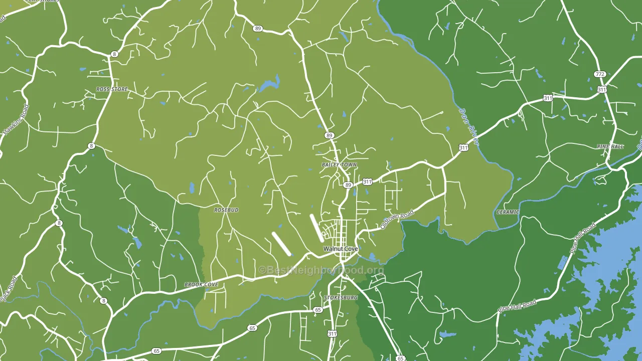 Walnut Cove, NC block-group voter-turnout map