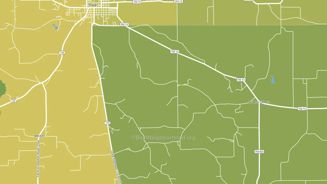 Walnut Grove, TX block-group voter-turnout map
