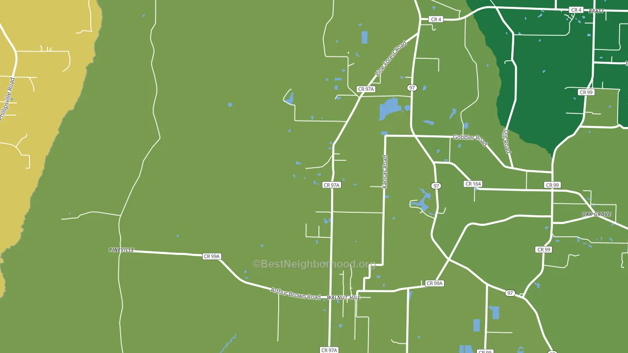 Walnut Hill, FL block-group voter-turnout map