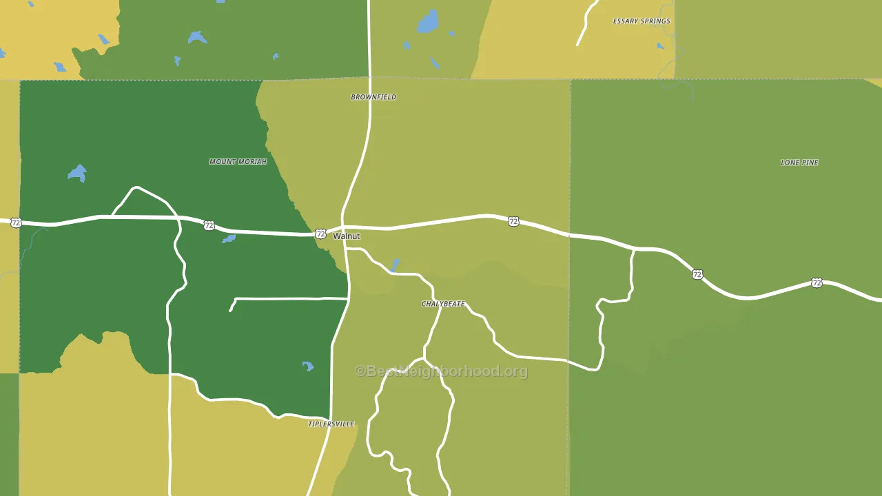 Walnut, MS block-group voter-turnout map