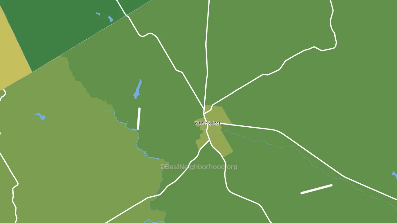 Walnut Springs, TX block-group voter-turnout map