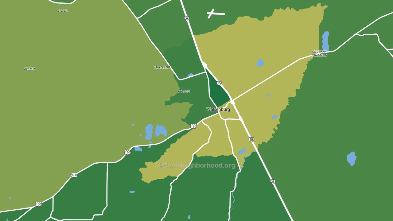 Walsenburg, CO block-group voter-turnout map