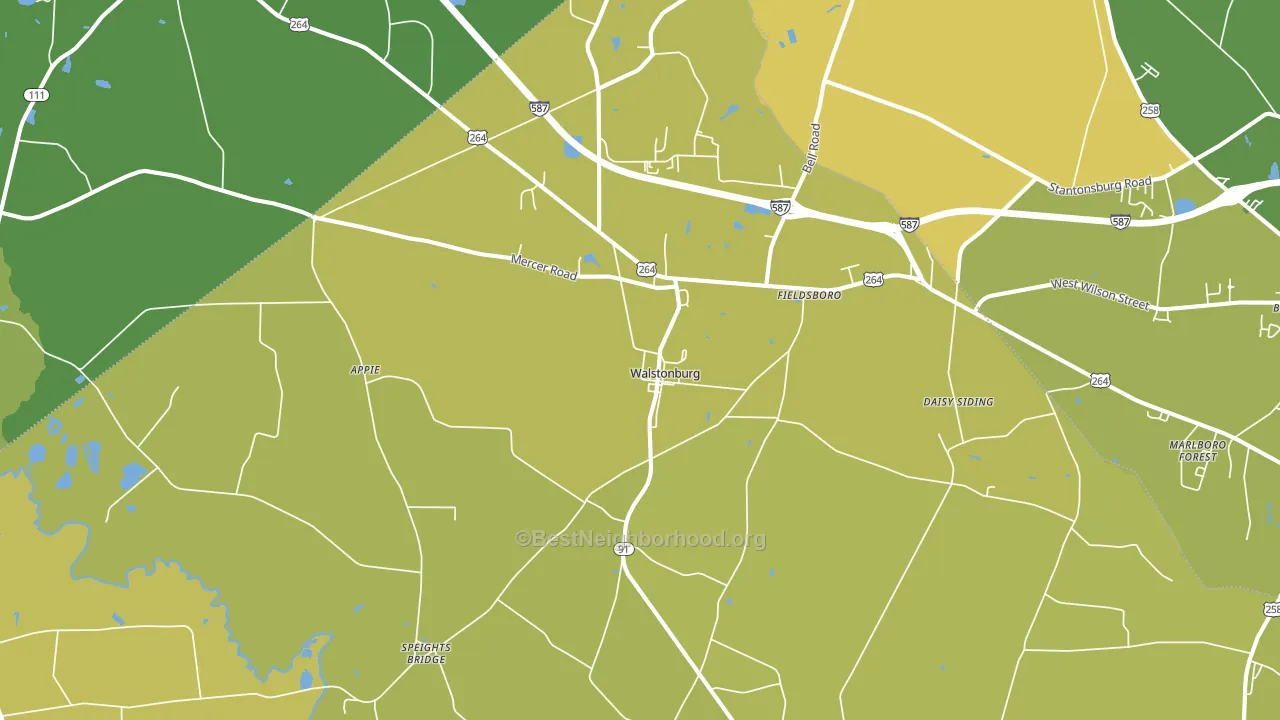 Walstonburg, NC block-group voter-turnout map