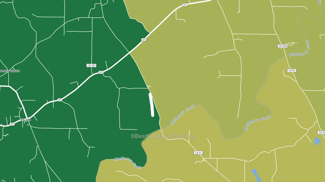 Walter, AL block-group voter-turnout map