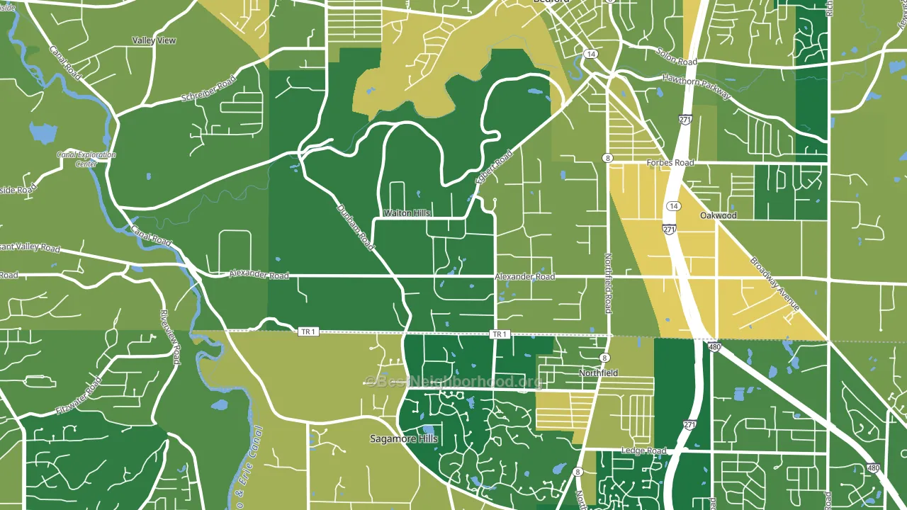 Walton Hills, OH block-group voter-turnout map