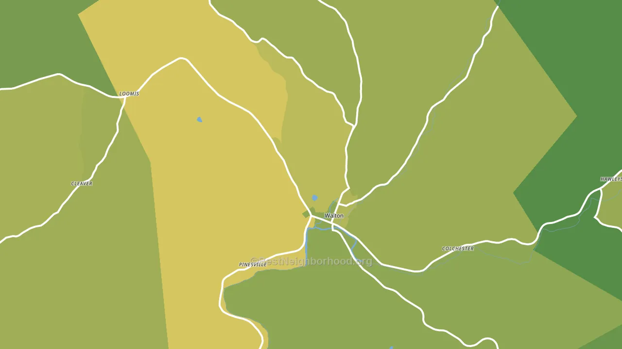 Walton, NY block-group voter-turnout map