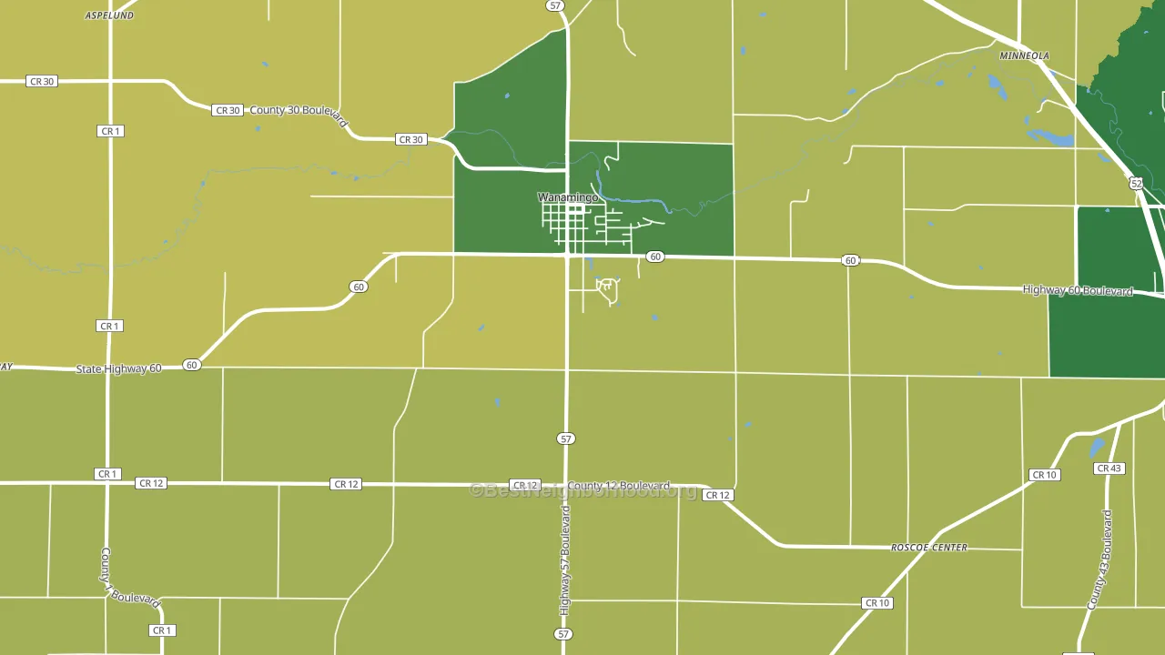 Wanamingo, MN block-group voter-turnout map
