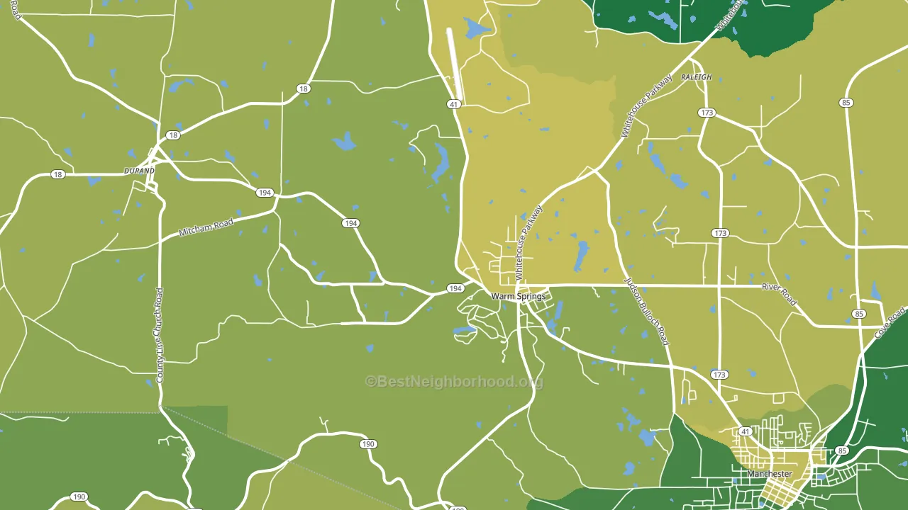 Warm Springs, GA block-group voter-turnout map
