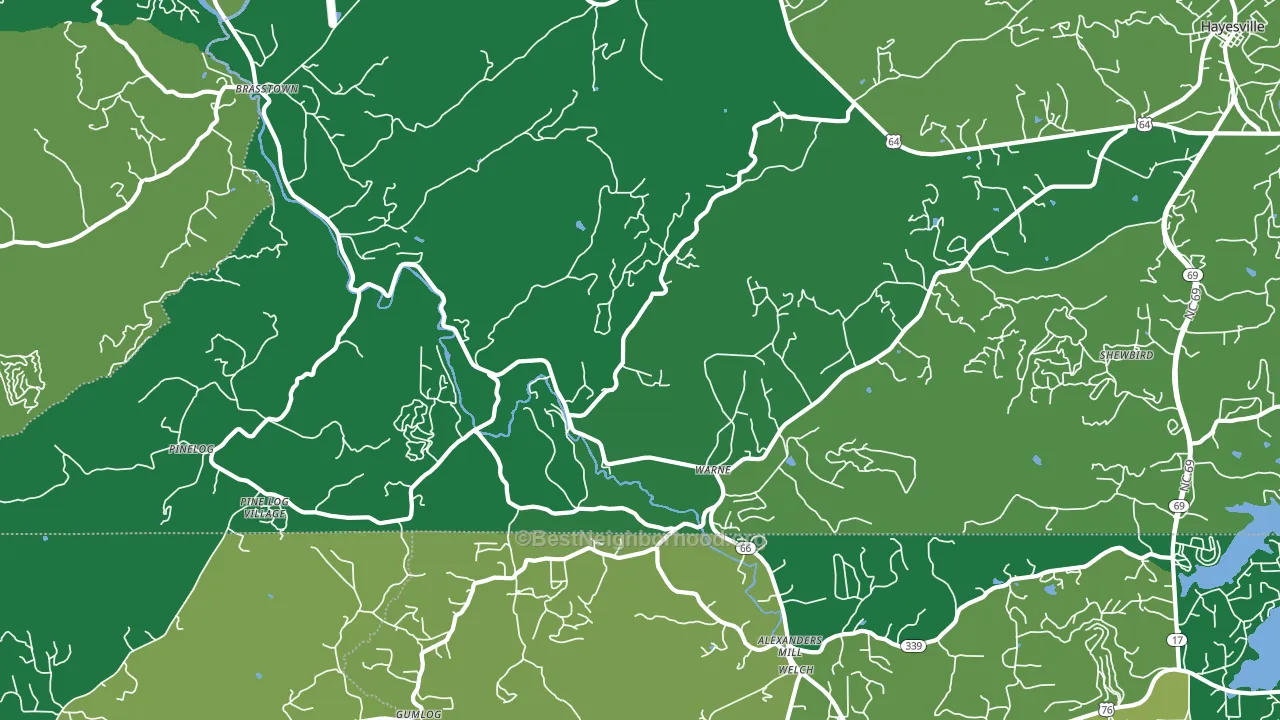 Warne, NC block-group voter-turnout map