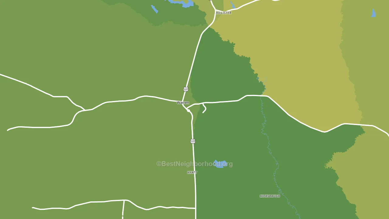 Warren, TX block-group voter-turnout map