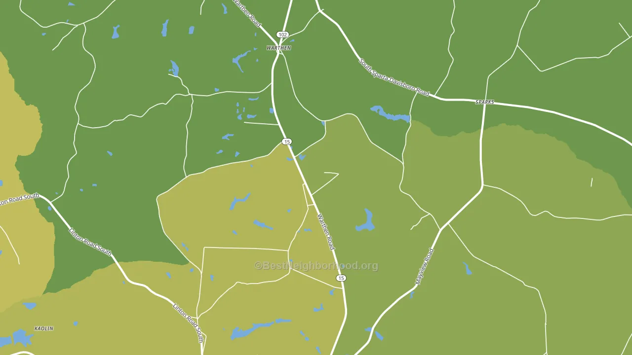Warthen, GA block-group voter-turnout map