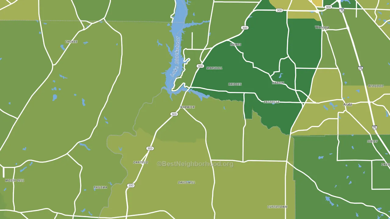 Warwick, GA block-group voter-turnout map
