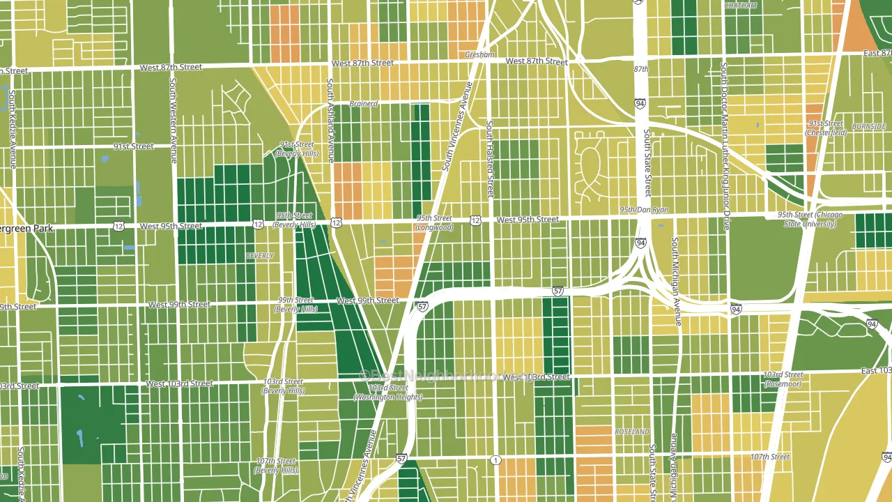Washington Heights, Chicago, IL block-group voter-turnout map