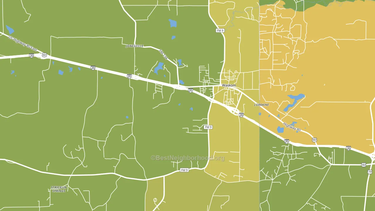 Waskom, TX block-group voter-turnout map