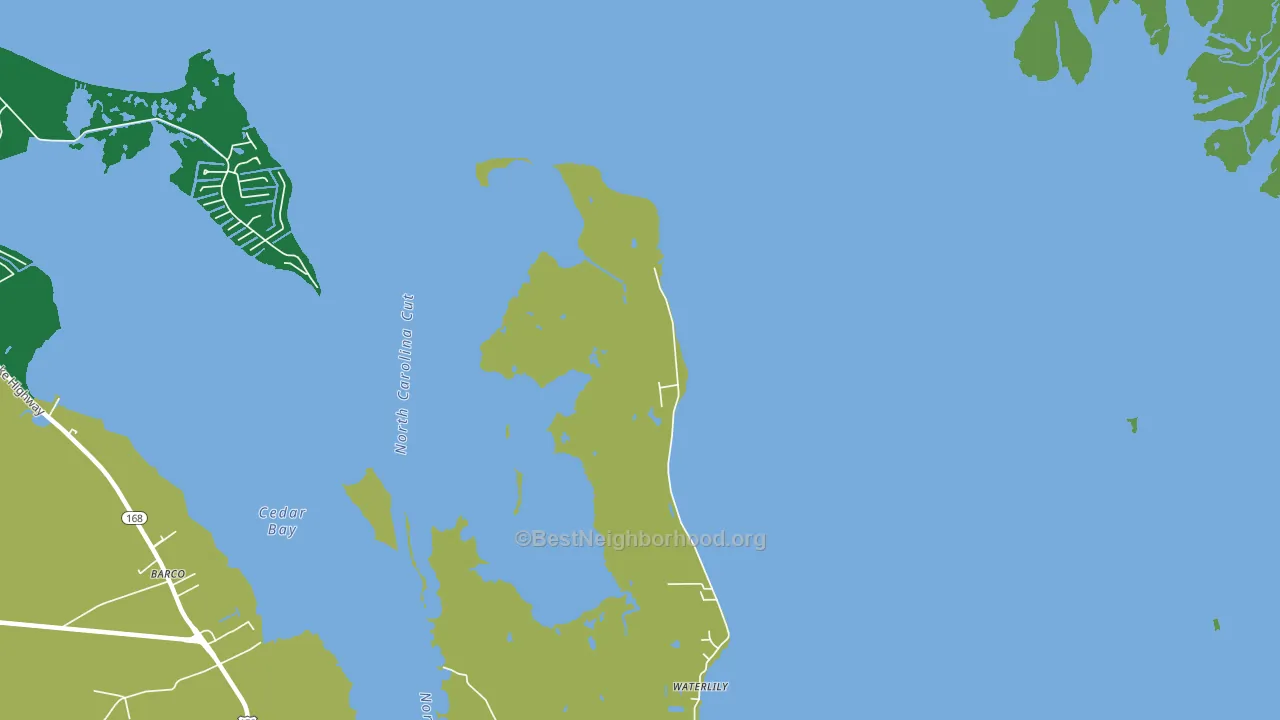 Waterlily, NC block-group voter-turnout map