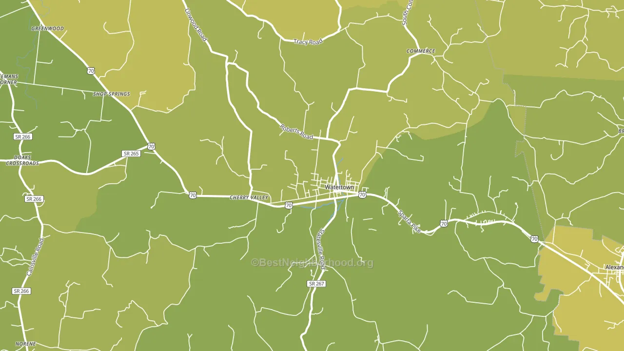 Watertown, TN block-group voter-turnout map