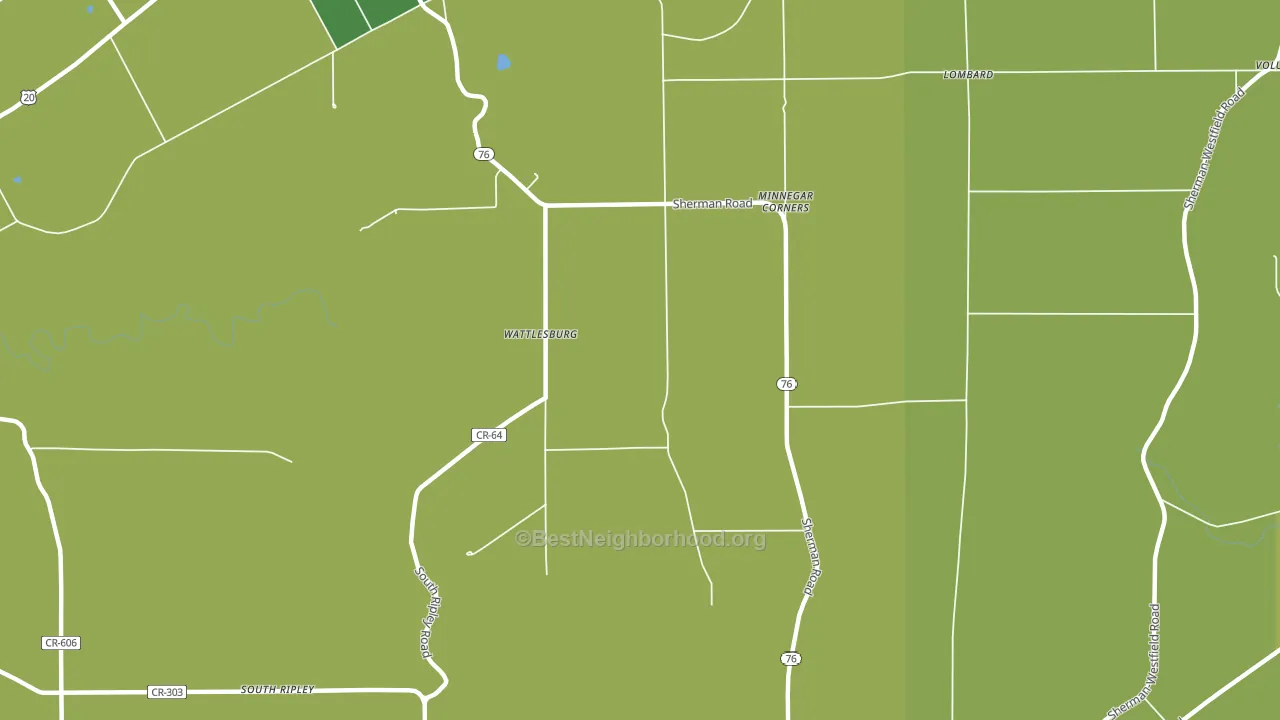 Wattlesburg, NY block-group voter-turnout map