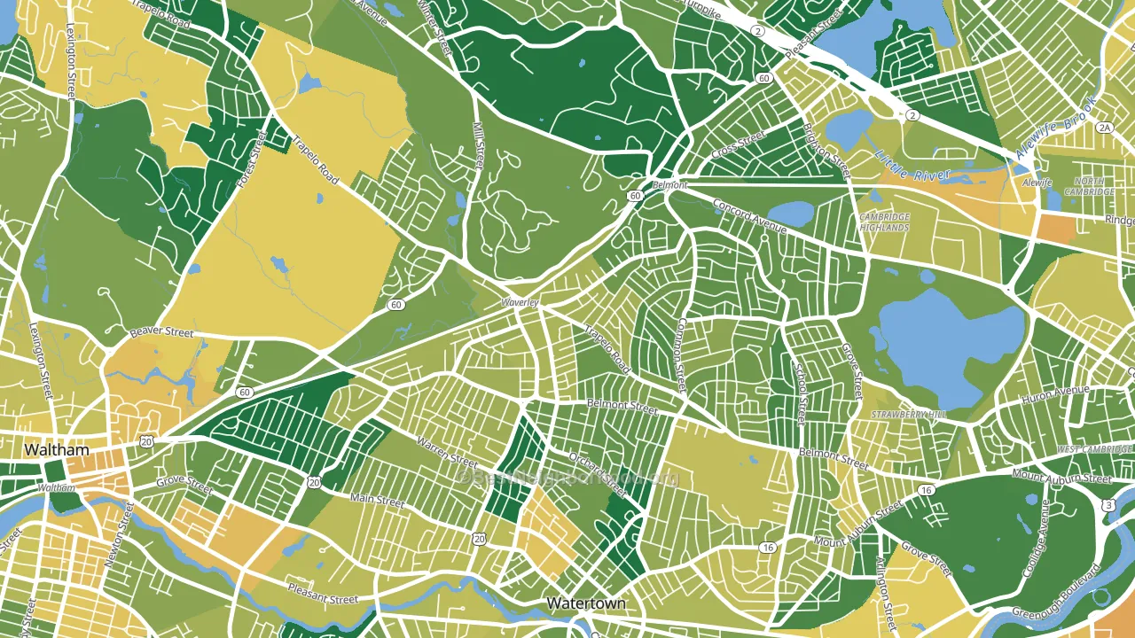 Waverley Square, Belmont, MA block-group voter-turnout map