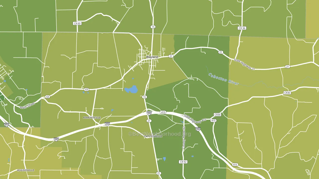 Wayland, NY block-group voter-turnout map