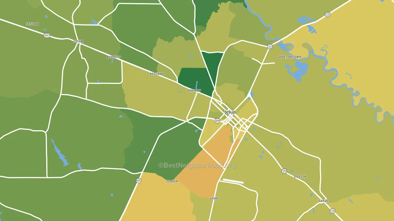 Wayne County, GA block-group voter-turnout map