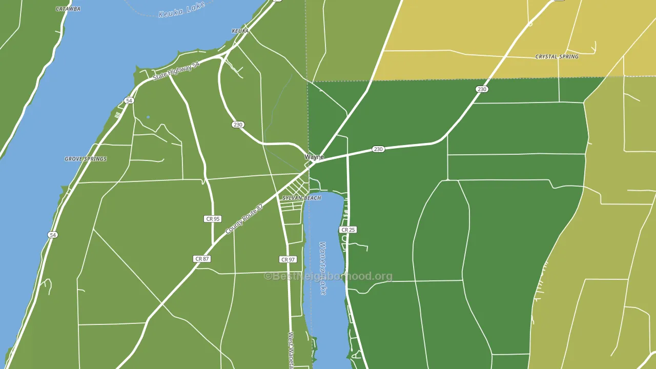 Wayne, NY block-group voter-turnout map