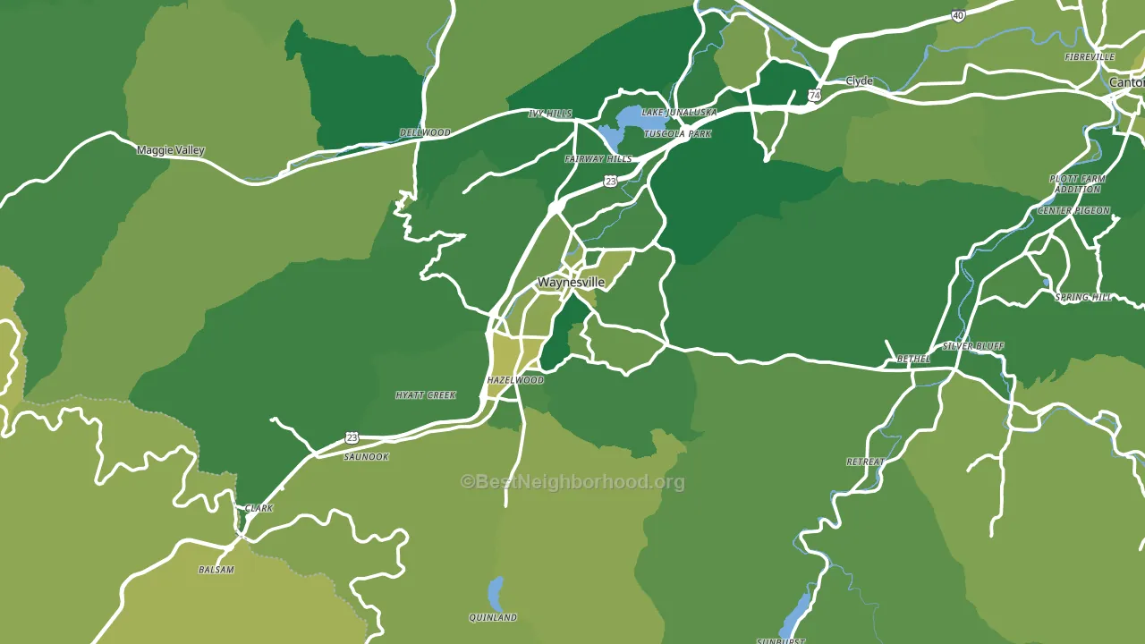 Waynesville, NC block-group voter-turnout map