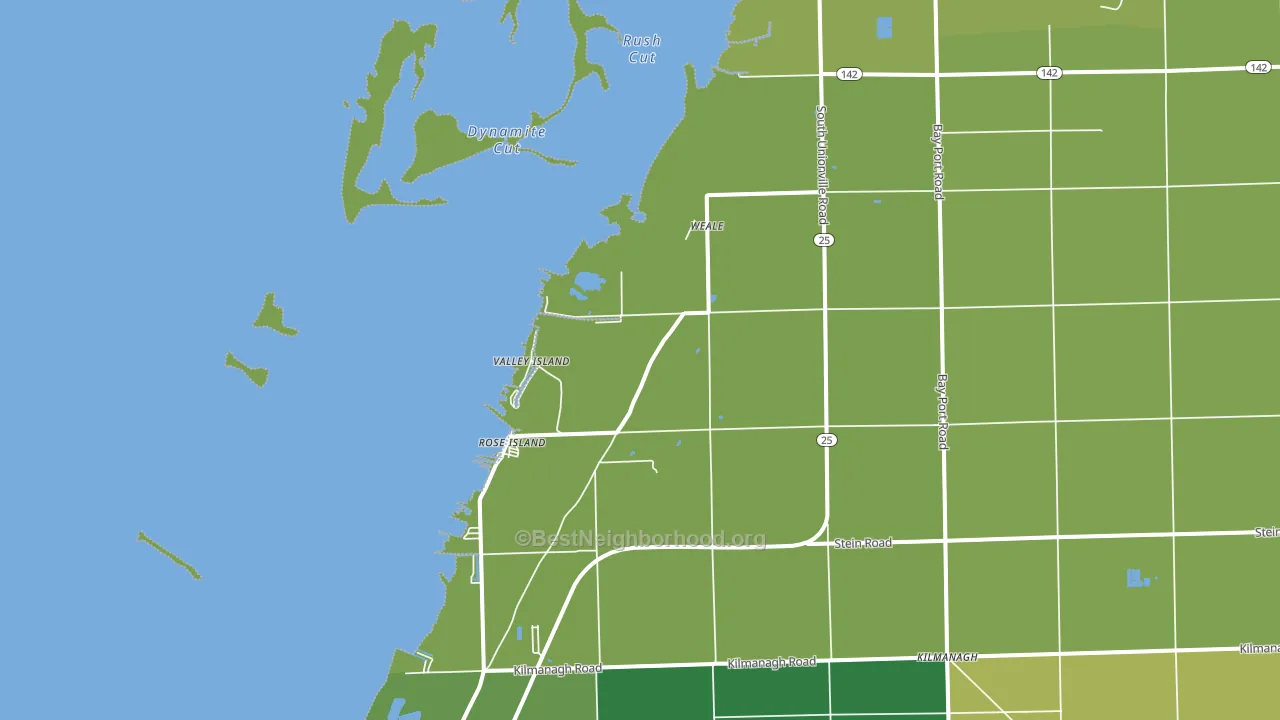Weale, MI block-group voter-turnout map