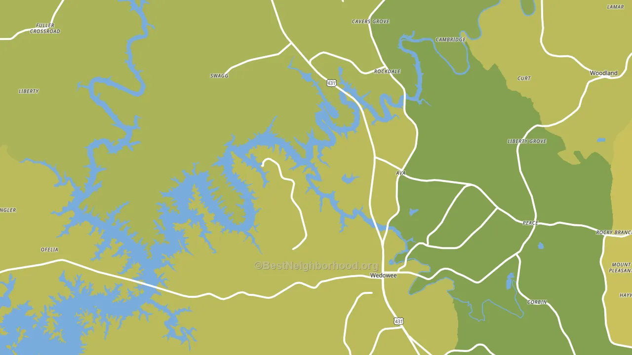 Wedowee, AL block-group voter-turnout map