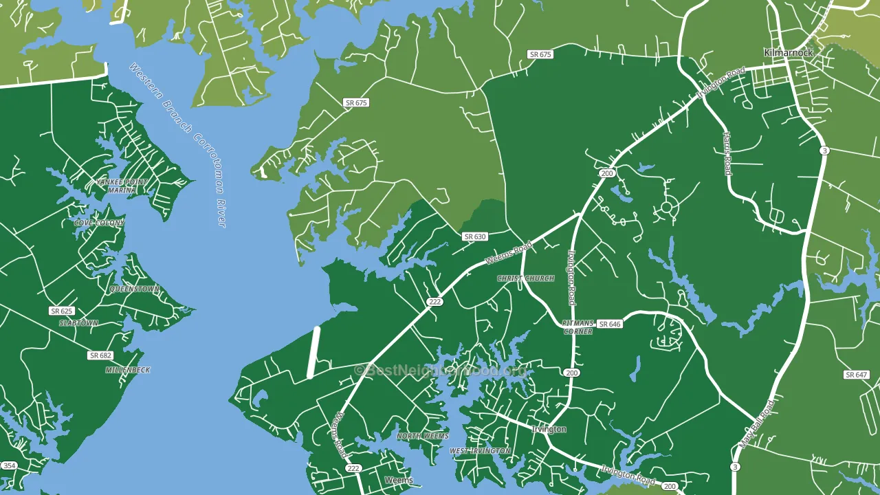 Weems, VA block-group voter-turnout map